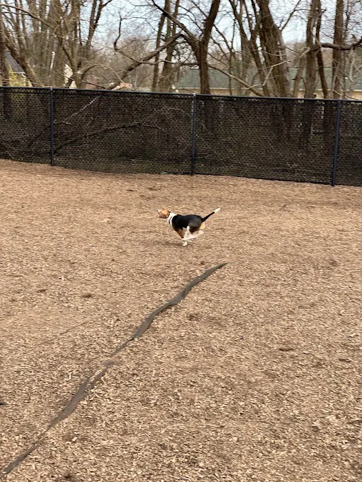 Bowie Dog Park 7