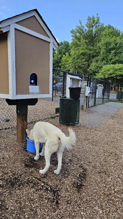 Bowie Dog Park 3