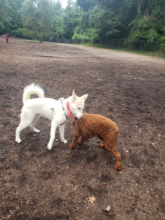 Bowie Dog Park 2