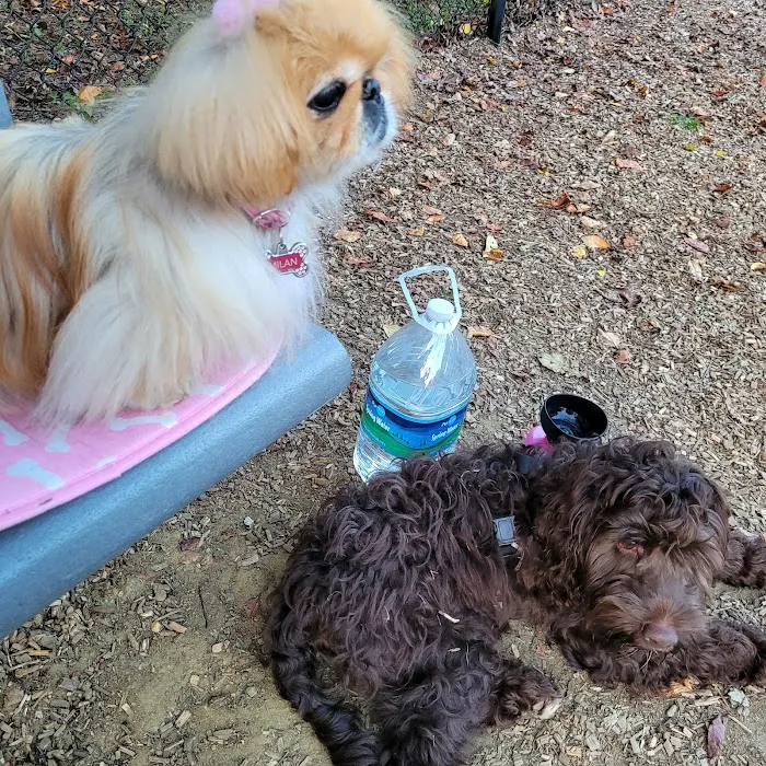 Bowie Dog Park 9