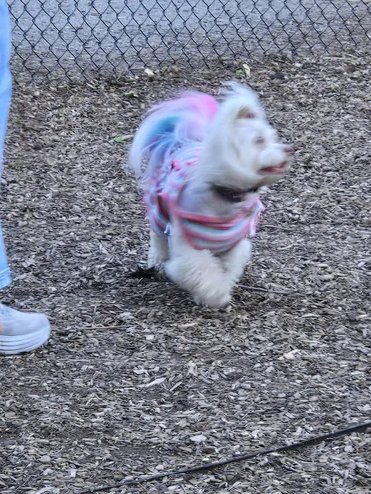 Bowie Dog Park 6