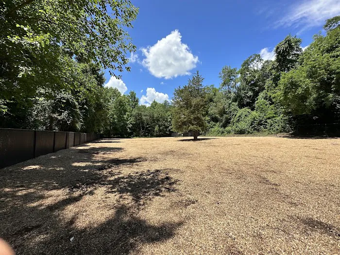Bowie Dog Park 10