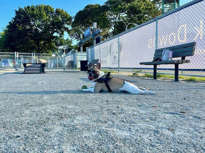 Dog Park at The Track 8