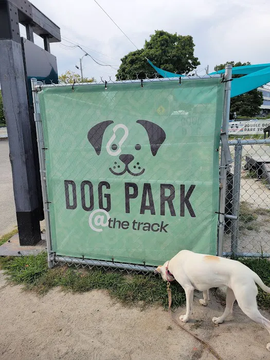 Dog Park at The Track 3