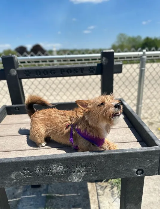 Dog Park at The Track 9