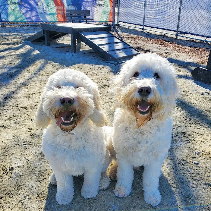 Dog Park at The Track 10