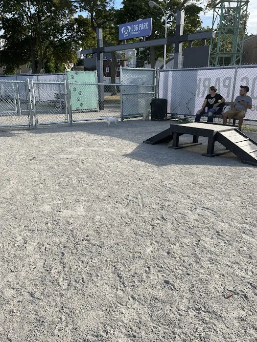 Dog Park at The Track 5