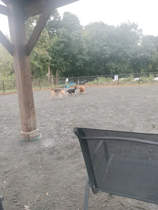 Swampscott Dog Park 1