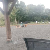 Swampscott Dog Park ico