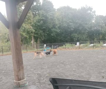 Swampscott Dog Park