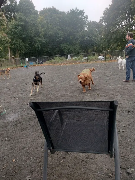 Swampscott Dog Park 4