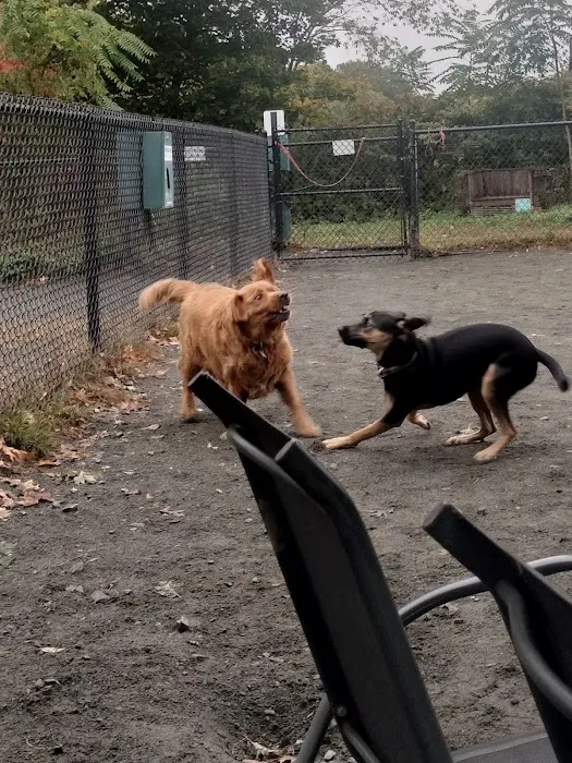Swampscott Dog Park 2