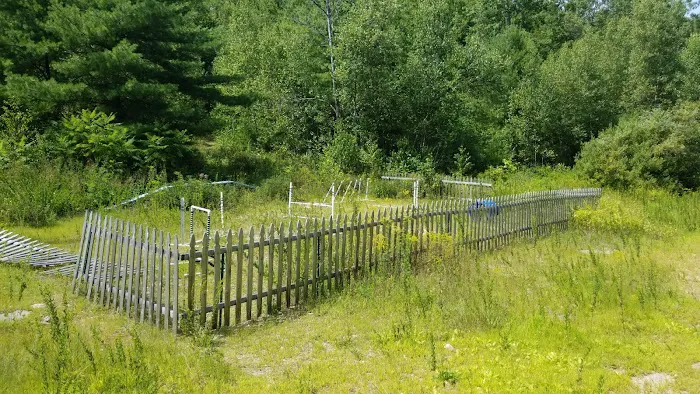 Riverside Bark Dog Park 7