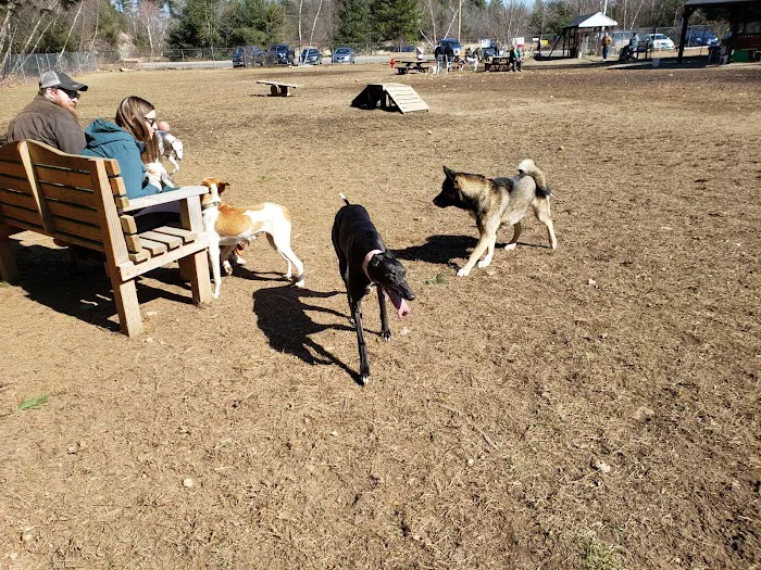 Live Free and Run Dog Park 1
