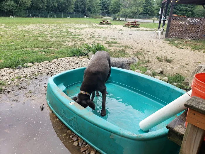 Live Free and Run Dog Park 10