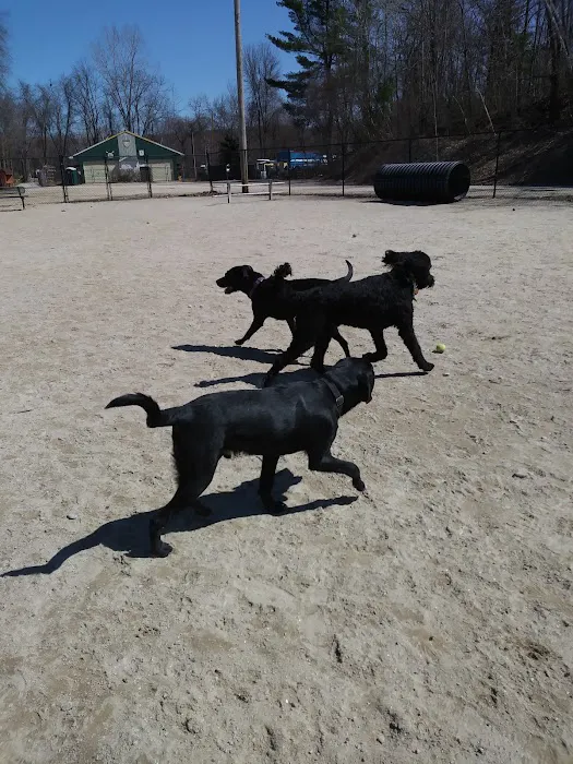 Hooksett Dog Park 7
