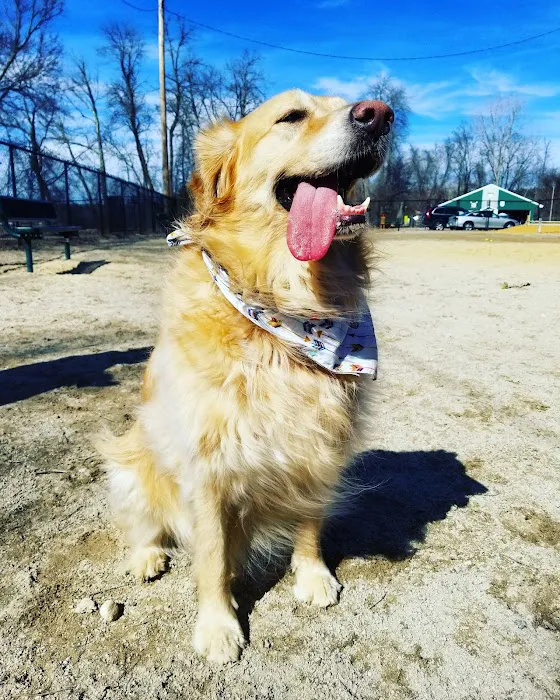 Hooksett Dog Park 3