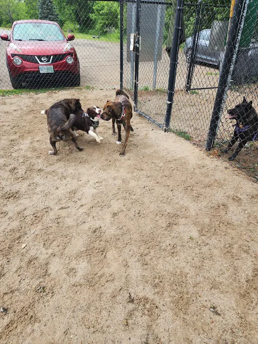 Hooksett Dog Park 6
