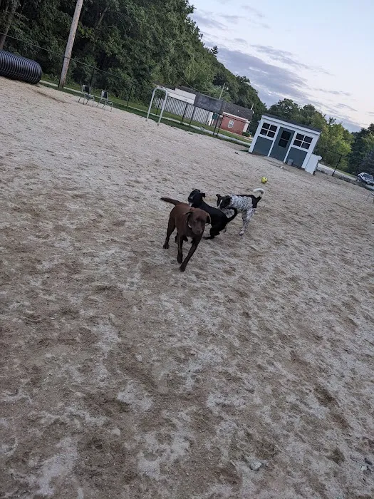 Hooksett Dog Park 4