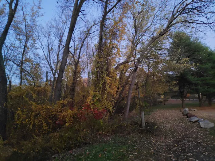 Terrill Park Dog Park 7