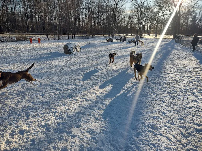 Terrill Park Dog Park 8