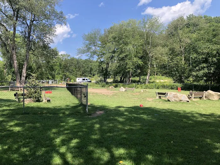 Terrill Park Dog Park 6