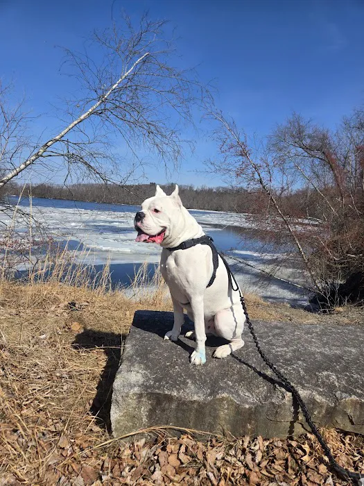 Terrill Park Dog Park 10
