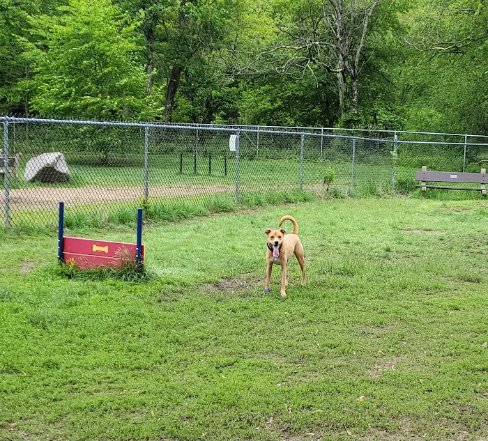 Terrill Park Dog Park 1