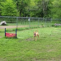 Terrill Park Dog Park ico
