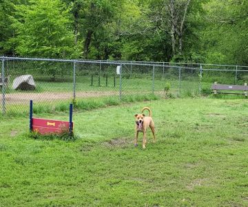 Terrill Park Dog Park