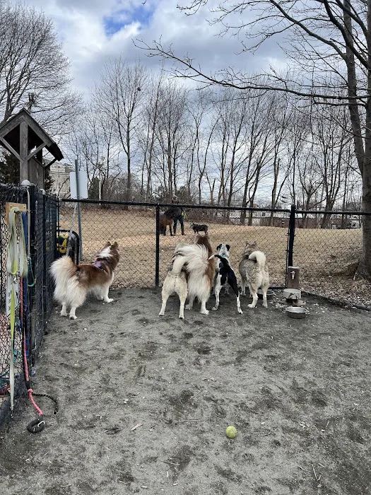 Marblehead Dog Park 9