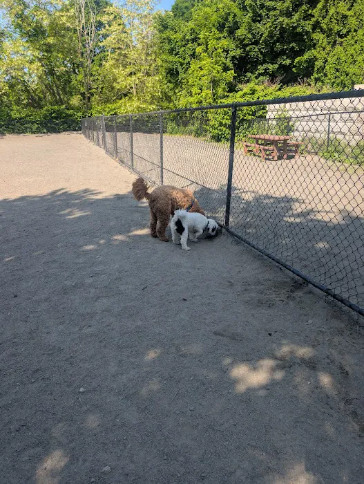 Marblehead Dog Park 7