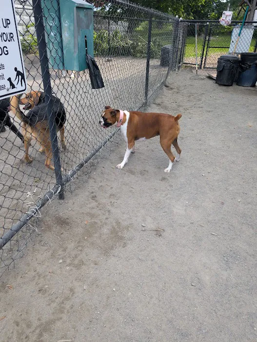 Marblehead Dog Park 10