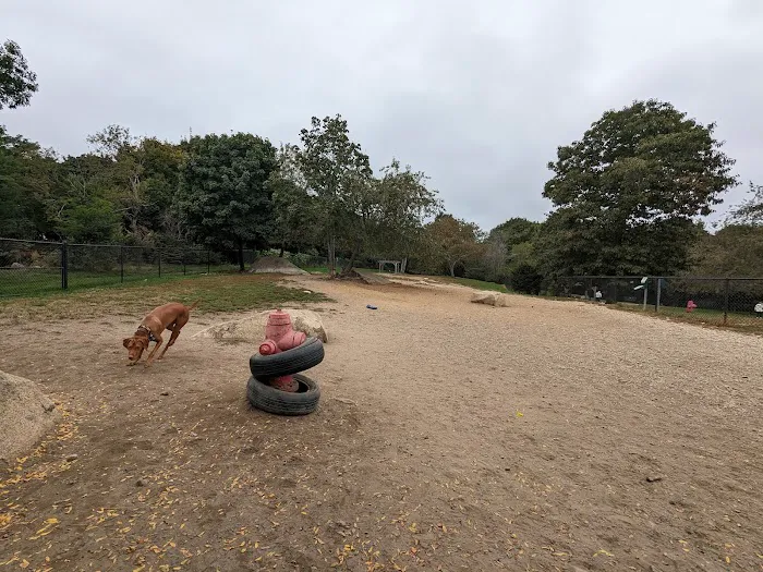 Gloucester Dog Park 1