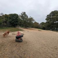 Gloucester Dog Park ico