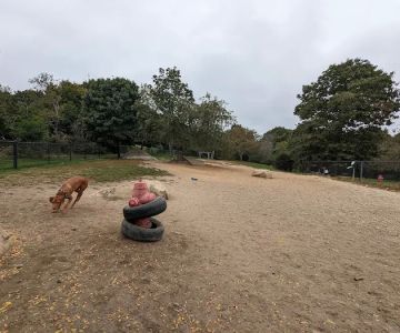 Gloucester Dog Park