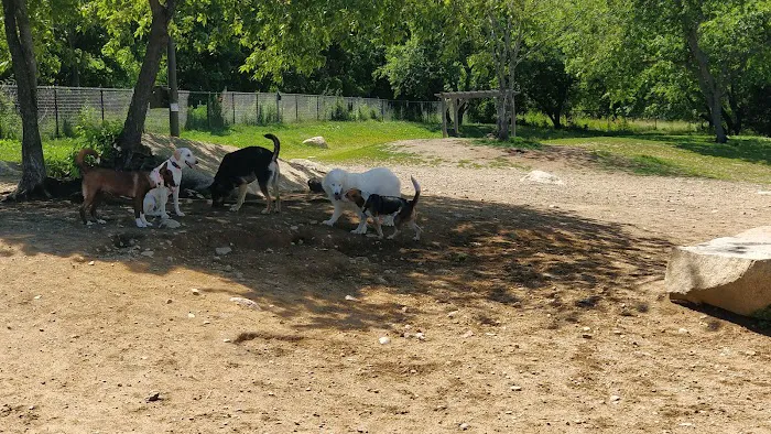 Gloucester Dog Park 7