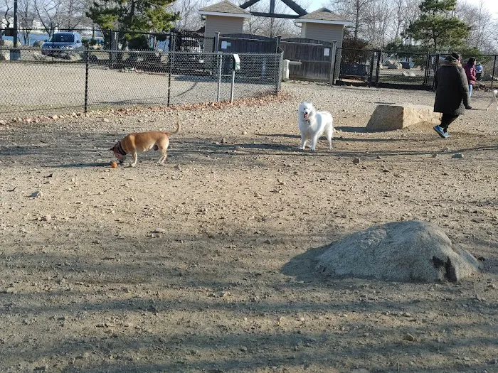 Gloucester Dog Park 6