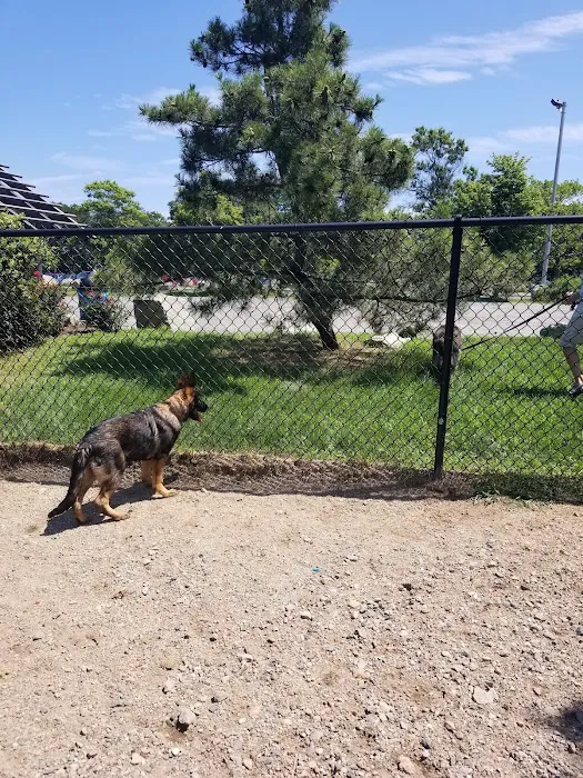 Gloucester Dog Park 10