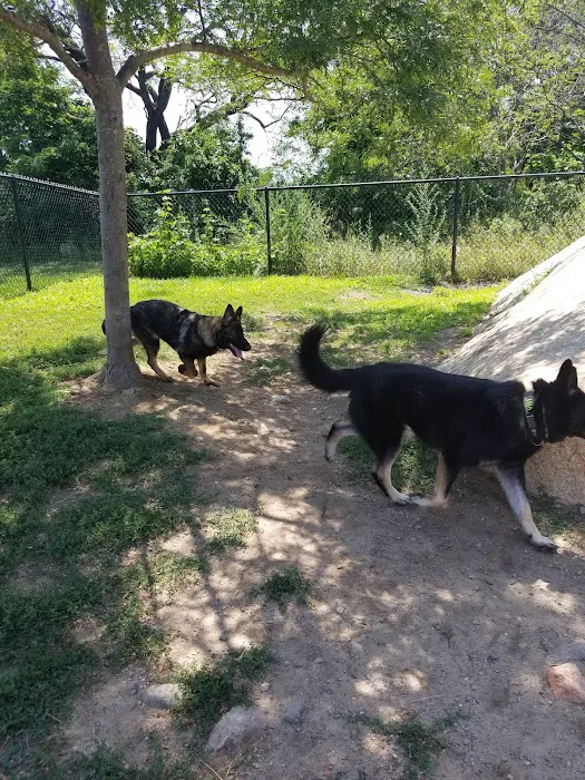 Gloucester Dog Park 9