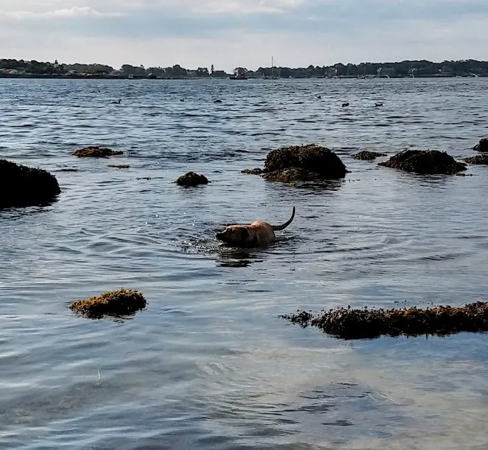 Crab Beach 1