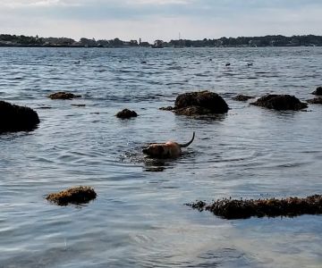 Crab Beach