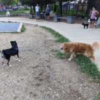 Columbia Heights Dog Park ico