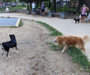 Columbia Heights Dog Park