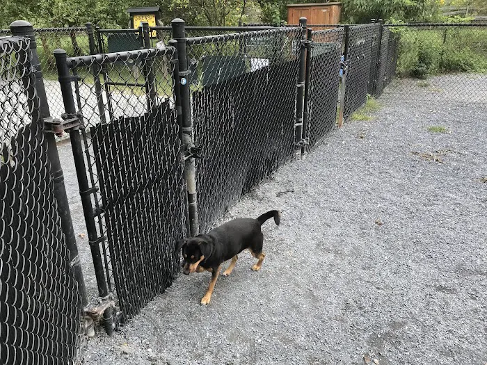 Newark Street Dog Park 8