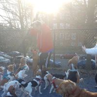 Newark Street Dog Park ico