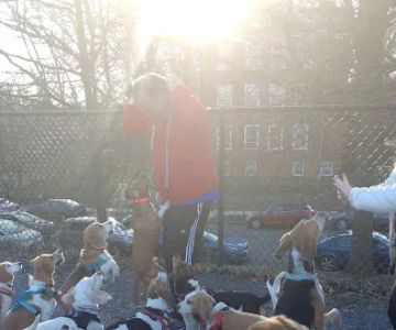 Newark Street Dog Park
