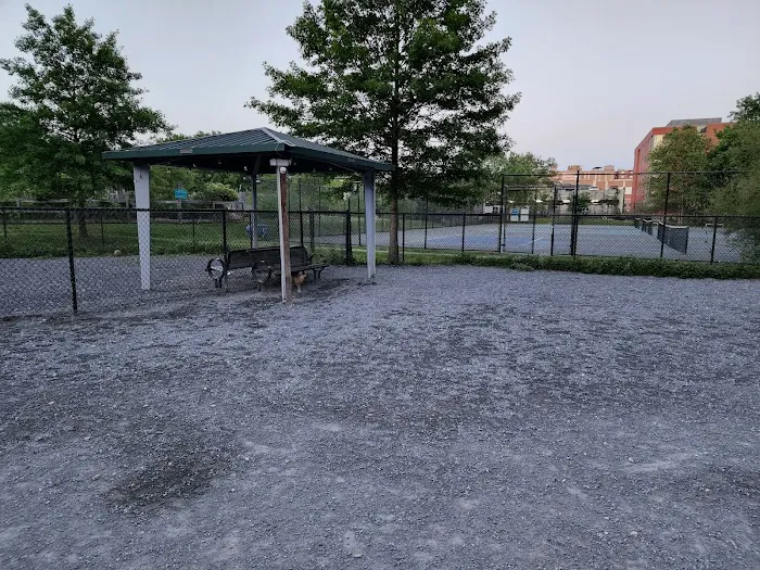 Newark Street Dog Park 6