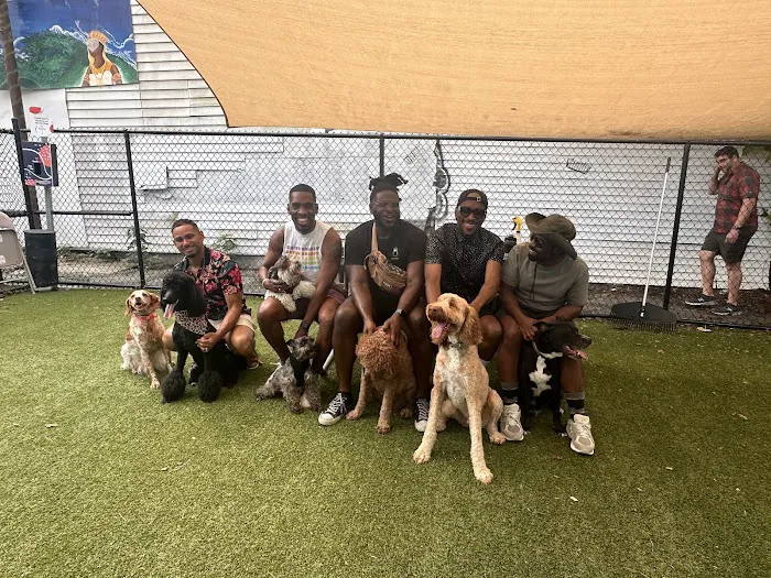 The Bark Park by District Dogs 8