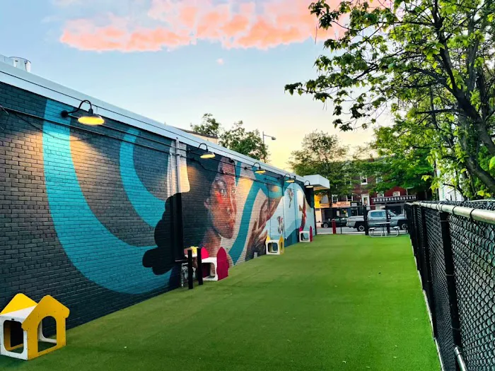 The Bark Park by District Dogs 3